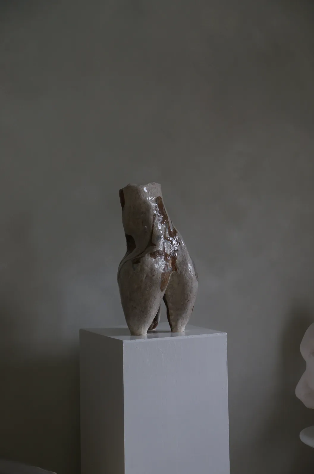 Animale — 6